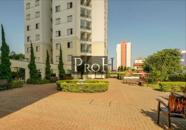Imagem Apartamento com 2 Quartos à Venda, 50 m² em Vila Bela - São Paulo Imagem Apartamento com 2 Quartos à Venda, 50 m² em Vila Bela - São Paulo