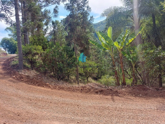 Imagem Terreno à Venda, 109.312 m² em Linha Tiradentes - Veranópolis