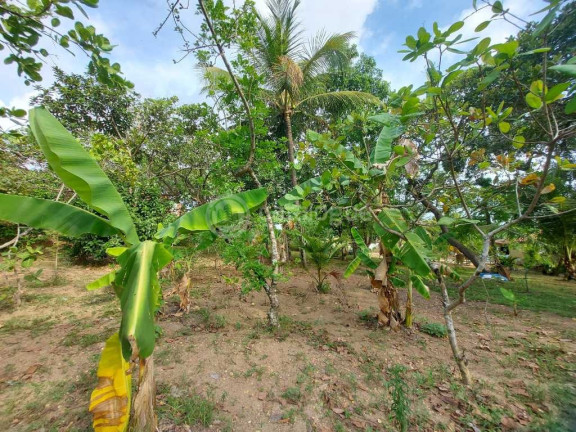 Imagem Fazenda à Venda, 2.000 m² em Zona Rural - São José De Mipibu Imagem Fazenda à Venda, 2.000 m² em Zona Rural - São José De Mipibu