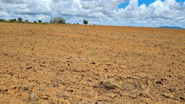 Imagem Imóvel com 3 Quartos à Venda, 43.000 m² em Zona Rural - Aurora Do Pará Imagem Imóvel com 3 Quartos à Venda, 43.000 m² em Zona Rural - Aurora Do Pará