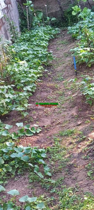 Imagem Chácara com 2 Quartos à Venda, 2.750 m² em área Rural De São José Dos Campos - São José Dos Campos Imagem Chácara com 2 Quartos à Venda, 2.750 m² em área Rural De São José Dos Campos - São José Dos Campos
