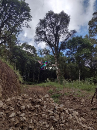 Imagem Terreno à Venda, 611 m² em Vila Do Cedro - Canela Imagem Terreno à Venda, 611 m² em Vila Do Cedro - Canela
