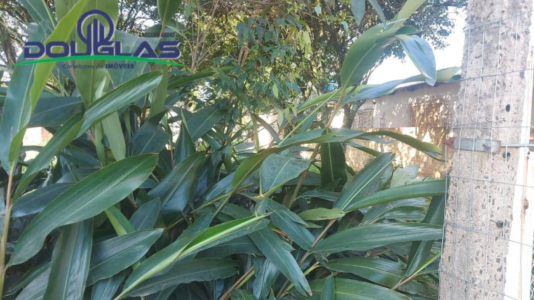Imagem Terreno à Venda, 360 m² em Viamão