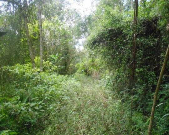 Imagem Terreno à Venda, 190.000 m² em Linha Olinda - Nova Petrópolis Imagem Terreno à Venda, 190.000 m² em Linha Olinda - Nova Petrópolis