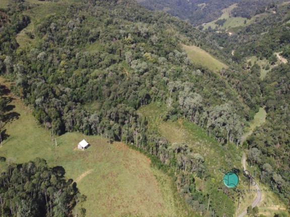 Imagem Imóvel à Venda, 120.000 m² em Zona Rural - Alfredo Wagner Imagem Imóvel à Venda, 120.000 m² em Zona Rural - Alfredo Wagner
