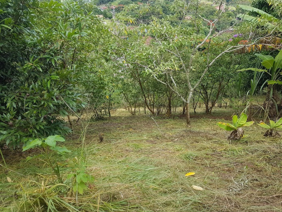 Imóvel à Venda,  em Redenção Da Serra