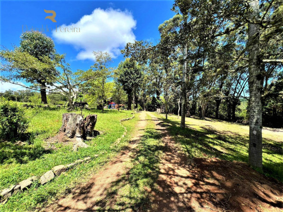 Imagem Chácara à Venda, 1 m² em Fiuza - Viamão Imagem Chácara à Venda, 1 m² em Fiuza - Viamão