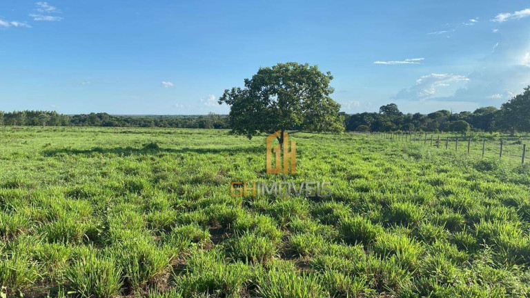 Imagem Fazenda à Venda, 4.017.000 m² em Assentamento - Ribeirão Cascalheira Imagem Fazenda à Venda, 4.017.000 m² em Assentamento - Ribeirão Cascalheira