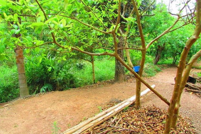 Imagem Imóvel à Venda, 3.534 m² em Nova Gardênia - Atibaia Imagem Imóvel à Venda, 3.534 m² em Nova Gardênia - Atibaia