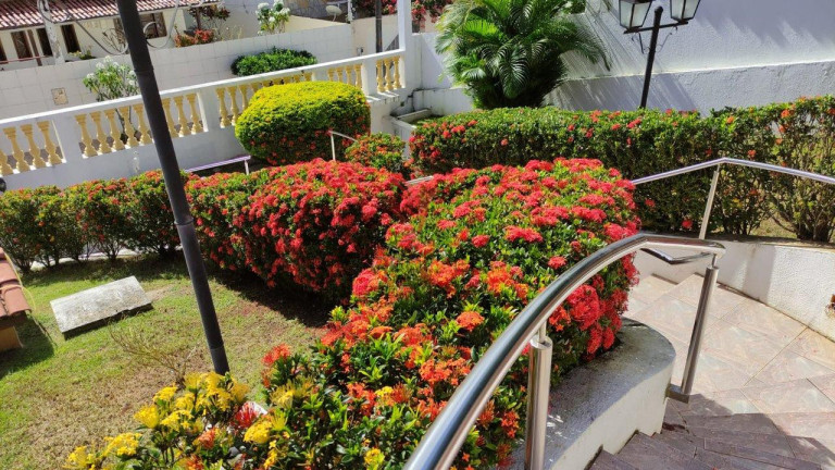 Imagem Casa de Condomínio com 3 Quartos à Venda, 204 m² em Estrada Do Coco - Lauro De Freitas Imagem Casa de Condomínio com 3 Quartos à Venda, 204 m² em Estrada Do Coco - Lauro De Freitas