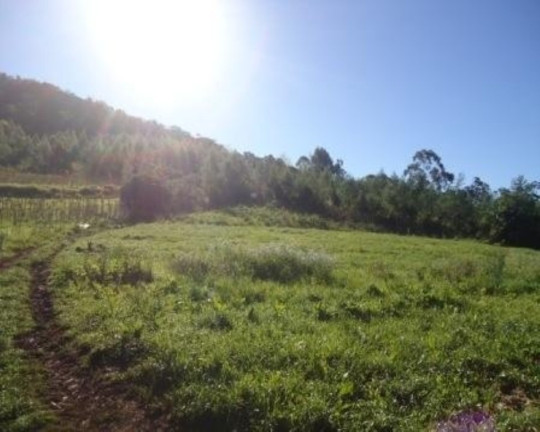 Imagem Terreno à Venda, 5 m² em Linha Nova - Linha Nova Imagem Terreno à Venda, 5 m² em Linha Nova - Linha Nova