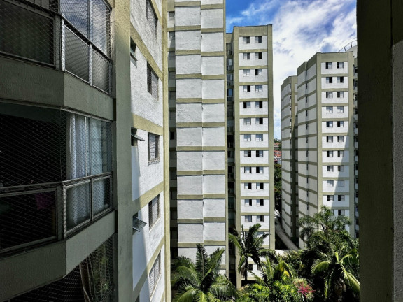 Imagem Apartamento com 3 Quartos à Venda, 74 m² em Jardim Marajoara - São Paulo Imagem Apartamento com 3 Quartos à Venda, 74 m² em Jardim Marajoara - São Paulo