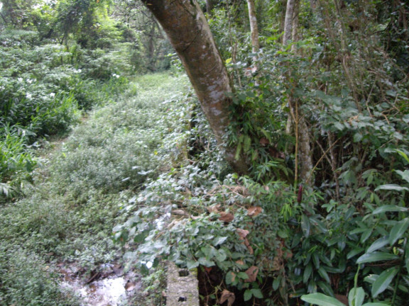 Imagem Terreno à Venda, em Chácara Vista Alegre - São Paulo Imagem Terreno à Venda, em Chácara Vista Alegre - São Paulo