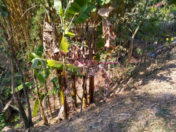 Imagem Chácara com 3 Quartos à Venda, 51 m² em Pinhais - Boituva