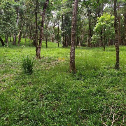 Imagem Chácara à Venda, 7.000 m² em Recreio Da Serra - Piraquara Imagem Chácara à Venda, 7.000 m² em Recreio Da Serra - Piraquara
