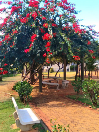 Imagem Apartamento com 2 Quartos à Venda, 47 m² em Ribeirânia - Ribeirão Preto Imagem Apartamento com 2 Quartos à Venda, 47 m² em Ribeirânia - Ribeirão Preto