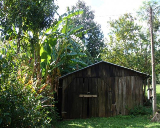 Imagem Imóvel à Venda,  em Linha Pirajá Baixa - Nova Petrópolis