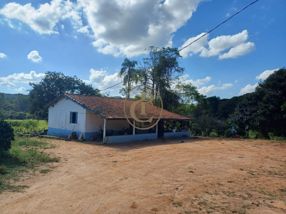 Imagem Fazenda à Venda, em Palmital - São Luíz Do Paraitinga Imagem Fazenda à Venda, em Palmital - São Luíz Do Paraitinga