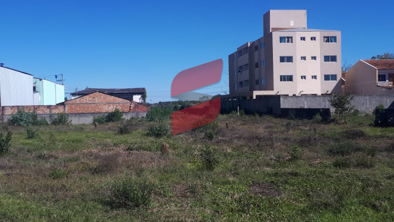 Imagem Terreno à Venda, 3.000 m² em Independência - São José Dos Pinhais Imagem Terreno à Venda, 3.000 m² em Independência - São José Dos Pinhais
