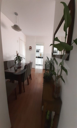 Imagem Apartamento com 3 Quartos à Venda, 66 m² em Santo Antônio - Porto Alegre Imagem Apartamento com 3 Quartos à Venda, 66 m² em Santo Antônio - Porto Alegre