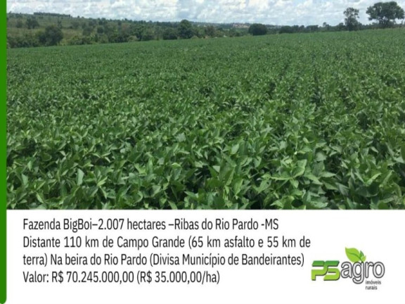 Imóvel à Venda, 20.070.000 m² em Centro - Ribas Do Rio Pardo