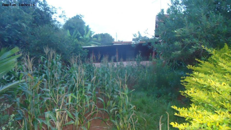 Imagem Chácara à Venda, 160 m² em Mateus Leme Imagem Chácara à Venda, 160 m² em Mateus Leme