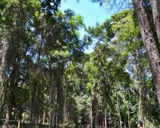 Imagem Terreno em Condomínio à Venda, 1.000 m² em Condomínio Recanto Da Serra - Brumadinho Imagem Terreno em Condomínio à Venda, 1.000 m² em Condomínio Recanto Da Serra - Brumadinho