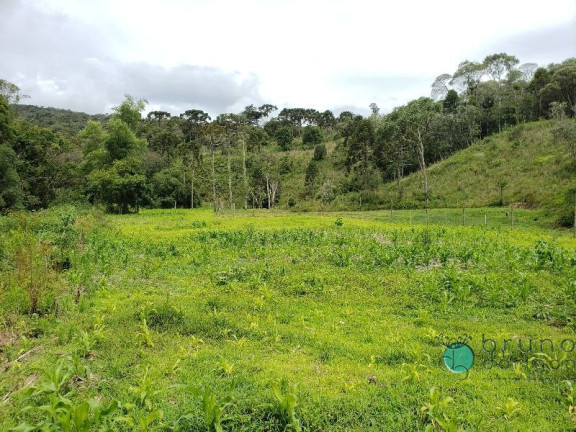 Imagem Imóvel com 3 Quartos à Venda, 350.000 m² em Zona Rural - Bom Retiro