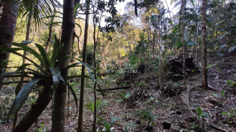 Imagem Imóvel à Venda, em Ribeirão Da Velha - Nova Trento Imagem Imóvel à Venda, em Ribeirão Da Velha - Nova Trento