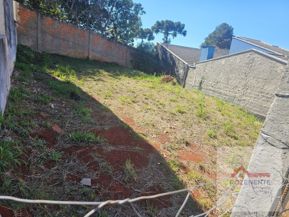 Imagem Terreno à Venda, 147 m² em São Gabriel - Colombo