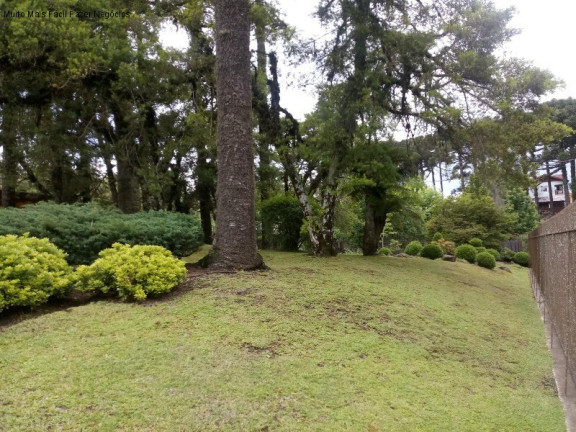 Imagem Casa com 4 Quartos à Venda, 280 m² em Sinoserra - Canela Imagem Casa com 4 Quartos à Venda, 280 m² em Sinoserra - Canela