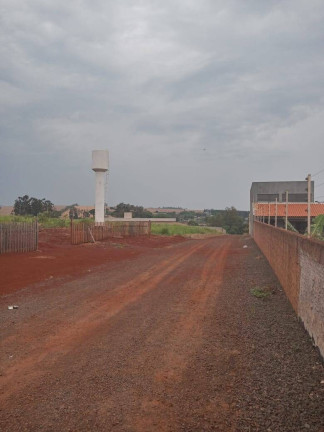 Imagem Chácara à Venda, 1 m² em Arapongas Imagem Chácara à Venda, 1 m² em Arapongas