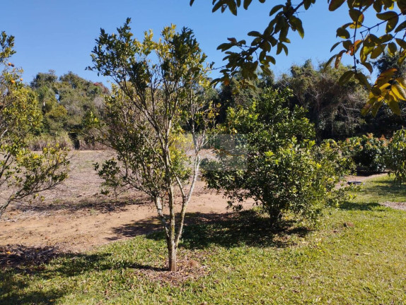 Imagem Chácara com 2 Quartos à Venda, 1.300 m² em Jardim Cananéia - Pilar Do Sul Imagem Chácara com 2 Quartos à Venda, 1.300 m² em Jardim Cananéia - Pilar Do Sul