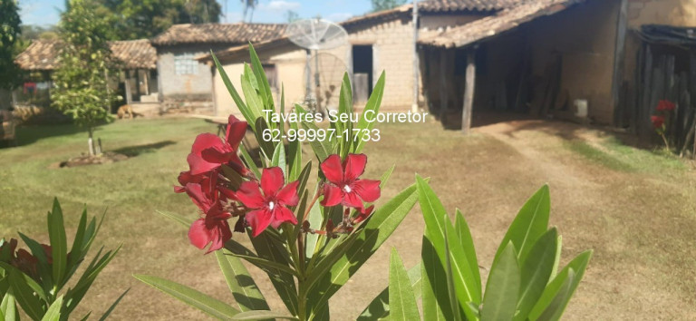 Imagem Imóvel à Venda, 23 m² em Zona Rural - Jaraguá Imagem Imóvel à Venda, 23 m² em Zona Rural - Jaraguá