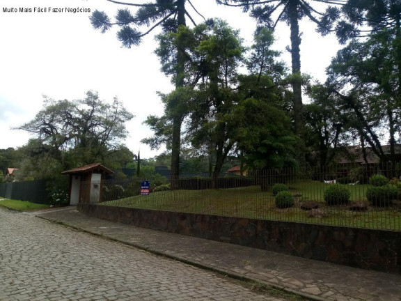 Imagem Casa com 4 Quartos à Venda, 280 m² em Sinoserra - Canela Imagem Casa com 4 Quartos à Venda, 280 m² em Sinoserra - Canela