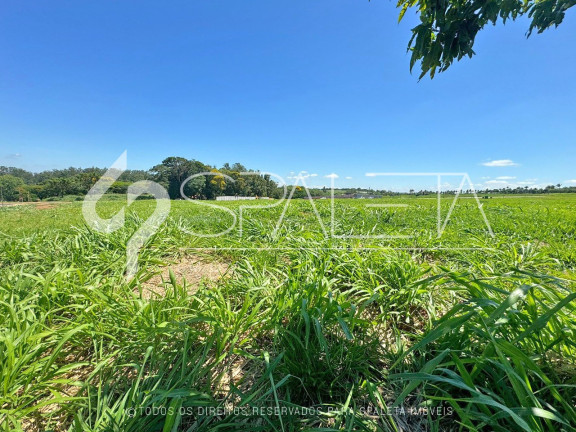Imagem Terreno à Venda, 2.500 m² em Fazenda Da Grama - Itupeva Imagem Terreno à Venda, 2.500 m² em Fazenda Da Grama - Itupeva