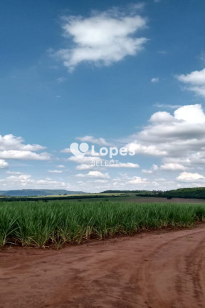 Imagem Imóvel com 1 Quarto à Venda, 310 m² em área Rural De Ribeirão Preto - Ribeirão Preto Imagem Imóvel com 1 Quarto à Venda, 310 m² em área Rural De Ribeirão Preto - Ribeirão Preto