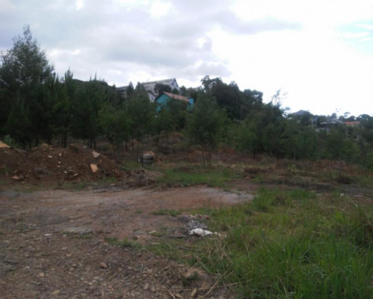 Imagem Imóvel à Venda, 5 m² em Logradouro - Nova Petrópolis