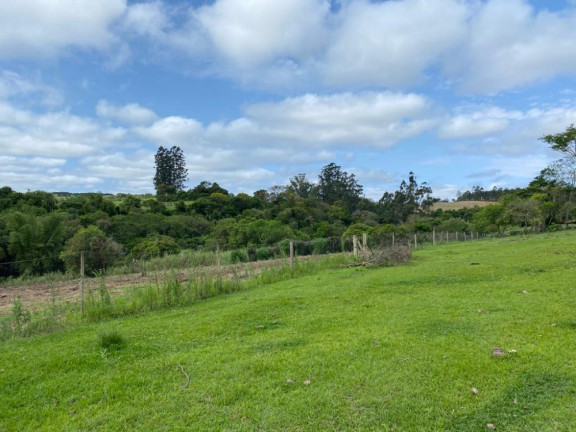 Imagem Imóvel com 5 Quartos à Venda, 18.150 m² em Vira Copos - Itapetininga Imagem Imóvel com 5 Quartos à Venda, 18.150 m² em Vira Copos - Itapetininga