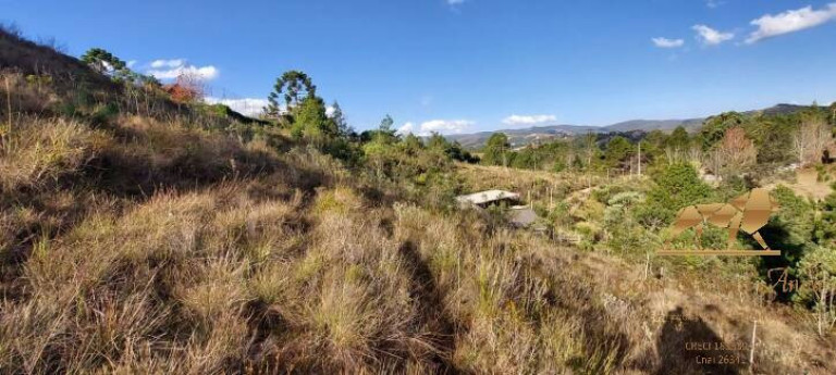 Imagem Terreno à Venda, 3.200 m² em Descansópolis - Campos Do Jordão Imagem Terreno à Venda, 3.200 m² em Descansópolis - Campos Do Jordão
