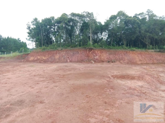 Imagem Terreno à Venda, 4.411 m² em Campo Largo Da Roseira - São José Dos Pinhais Imagem Terreno à Venda, 4.411 m² em Campo Largo Da Roseira - São José Dos Pinhais