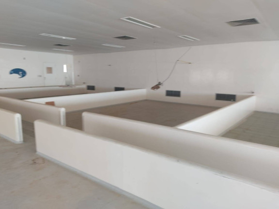 Imagem Chácara com 4 Quartos à Venda, 850 m² em Itarassú - Capela Do Alto