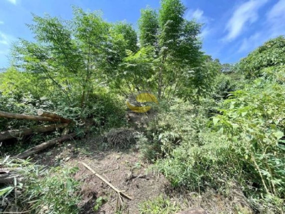 Imagem Terreno à Venda, 907 m² em Vila Santo Antônio - Cotia Imagem Terreno à Venda, 907 m² em Vila Santo Antônio - Cotia