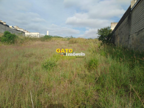 Imagem Terreno à Venda, 2.920 m² em São Luiz (polvilho) - Cajamar