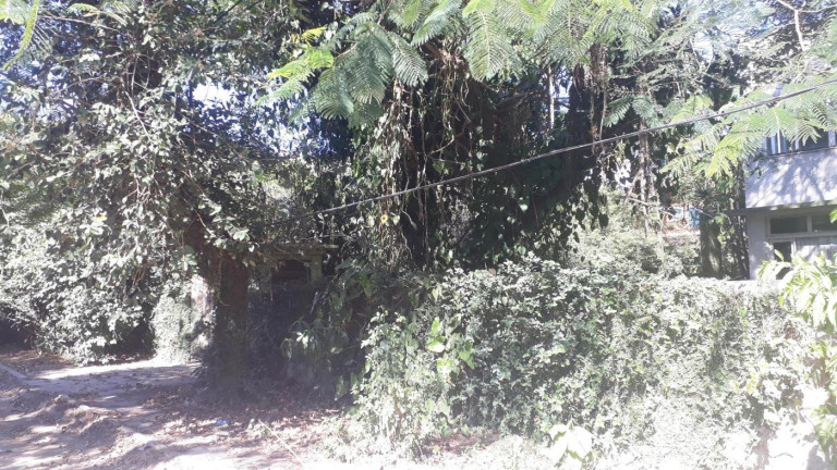 Imagem Terreno à Venda, 1.196 m² em Itaipu - Niterói Imagem Terreno à Venda, 1.196 m² em Itaipu - Niterói