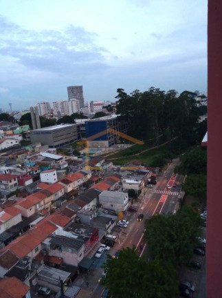 Imagem Apartamento com 2 Quartos à Venda, 59 m² em Vila Amélia - São Paulo Imagem Apartamento com 2 Quartos à Venda, 59 m² em Vila Amélia - São Paulo
