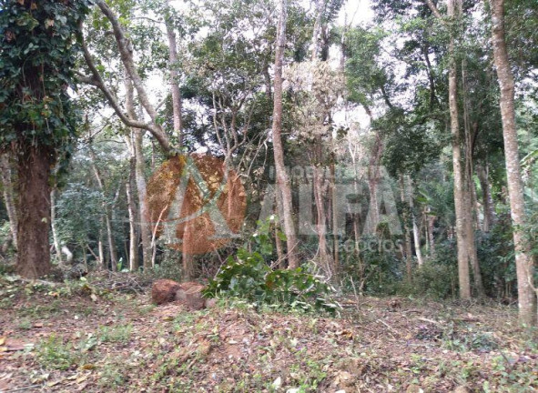 Imagem Terreno à Venda, 1.000 m² em Chácara Recanto Verde - Cotia Imagem Terreno à Venda, 1.000 m² em Chácara Recanto Verde - Cotia