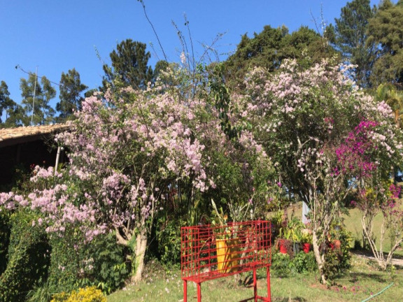 Imagem Imóvel com 4 Quartos à Venda, 4.000 m² em Parathey Do Meio - Igaratá