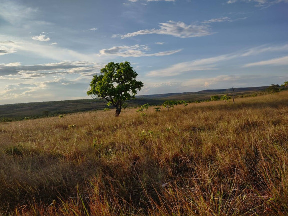 Imagem Fazenda à Venda, 1.046 m² em Arinos - Arinos Imagem Fazenda à Venda, 1.046 m² em Arinos - Arinos