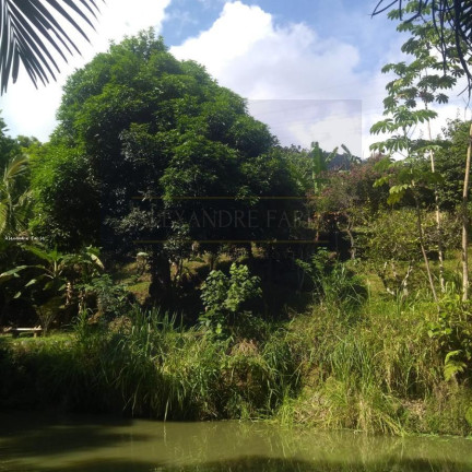 Imagem Chácara com 3 Quartos à Venda, 2.000 m² em Enseada - São Sebastião